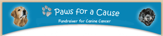 Paws for a Cause: Smiling Blue Skies Canine Cancer Fundraiser